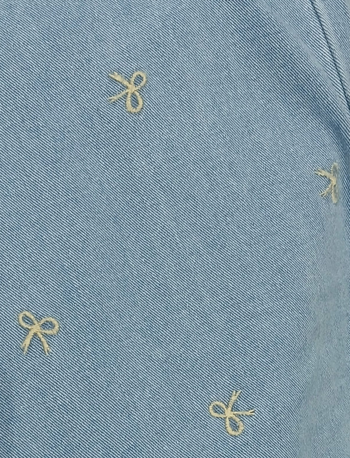 VAQUERO CON DETALLE BORDADO
